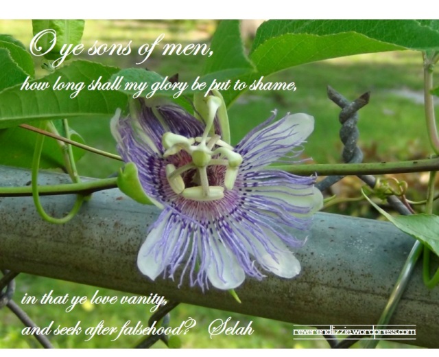 Psalm 4 passion flower
